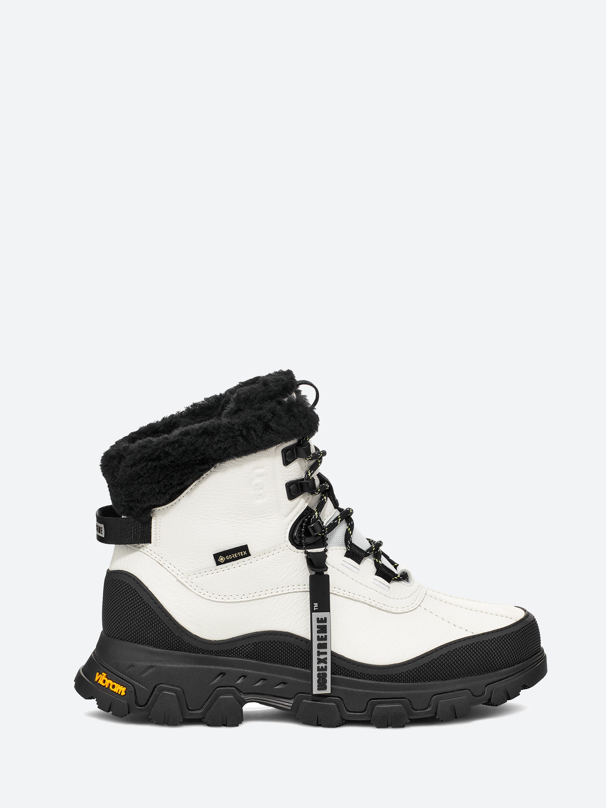 Adirondack Meridian Hiker