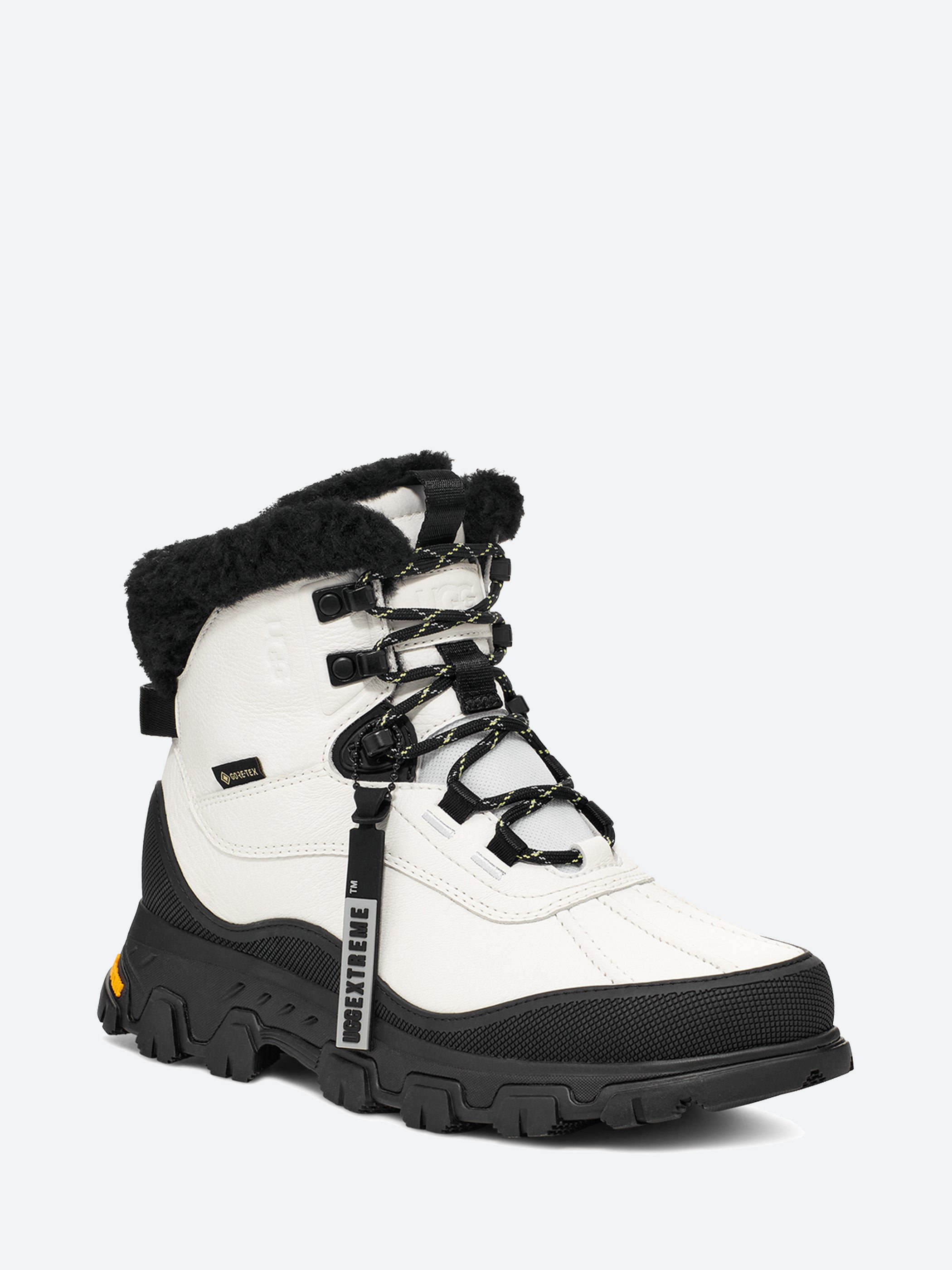 Adirondack Meridian Hiker