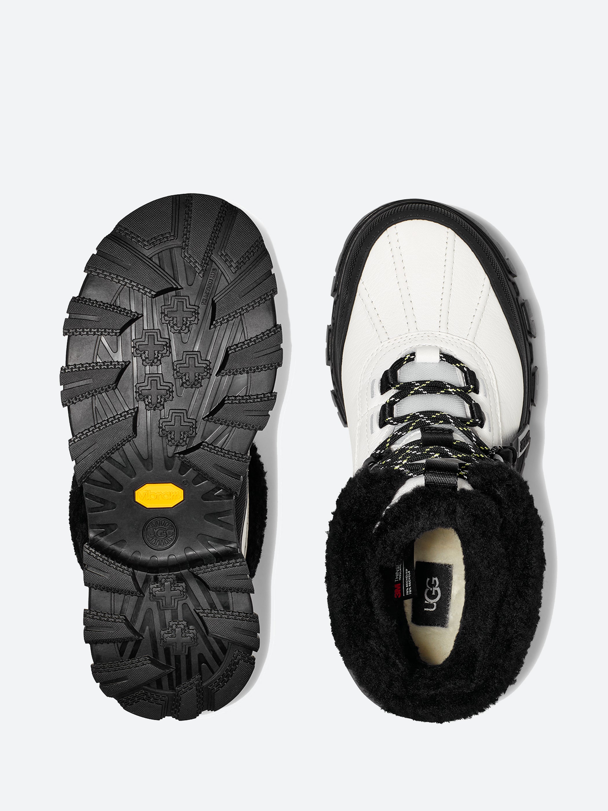 Adirondack Meridian Hiker