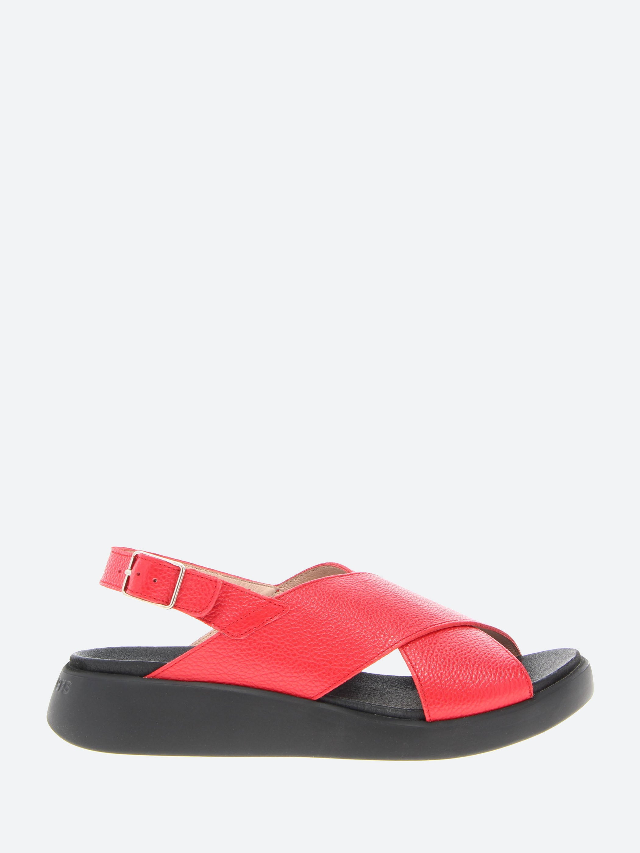 C-6540 Sandals