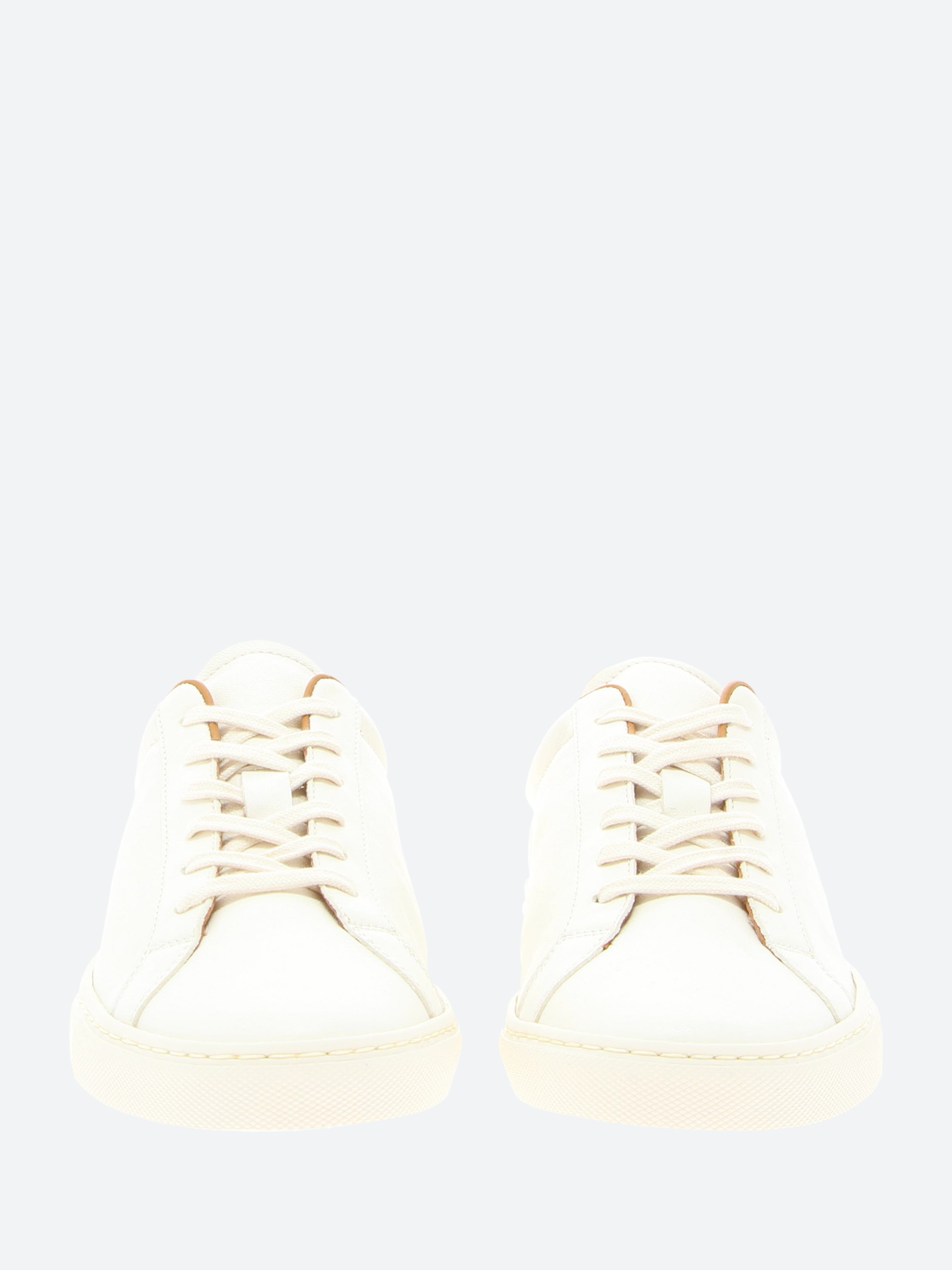 Retro Summer Premium