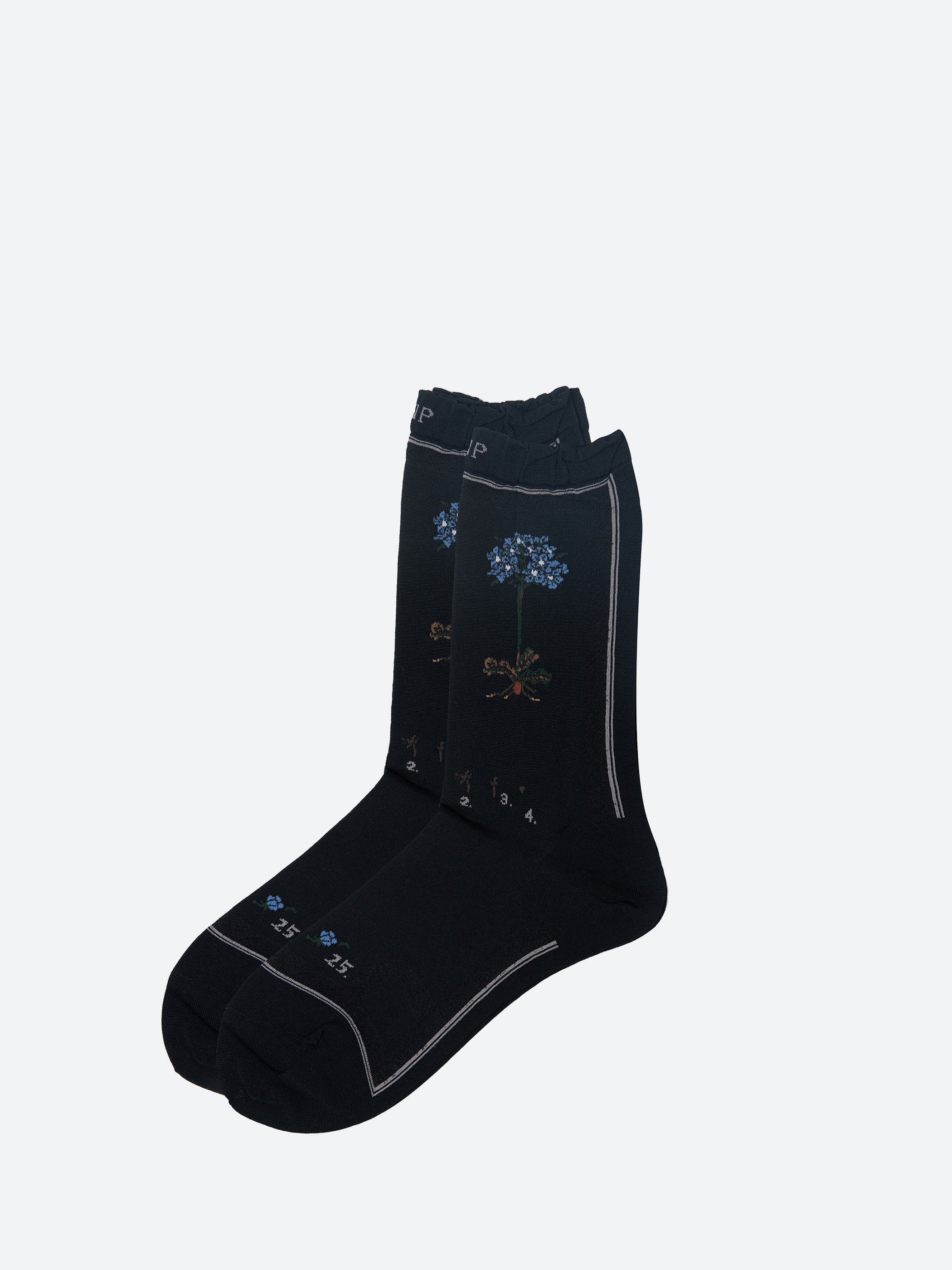 Botanical XVI Socks