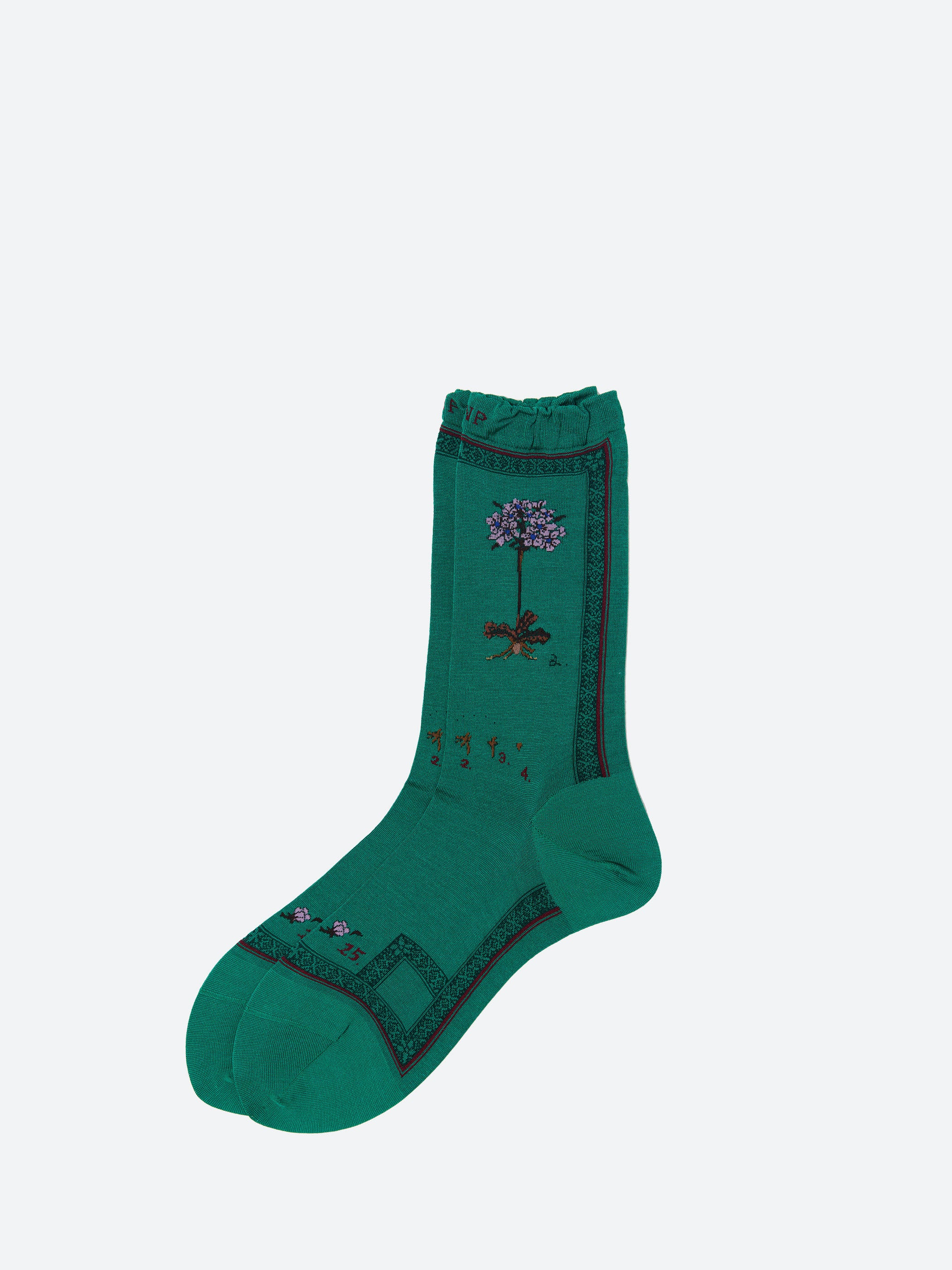 Botanical XVI Socks