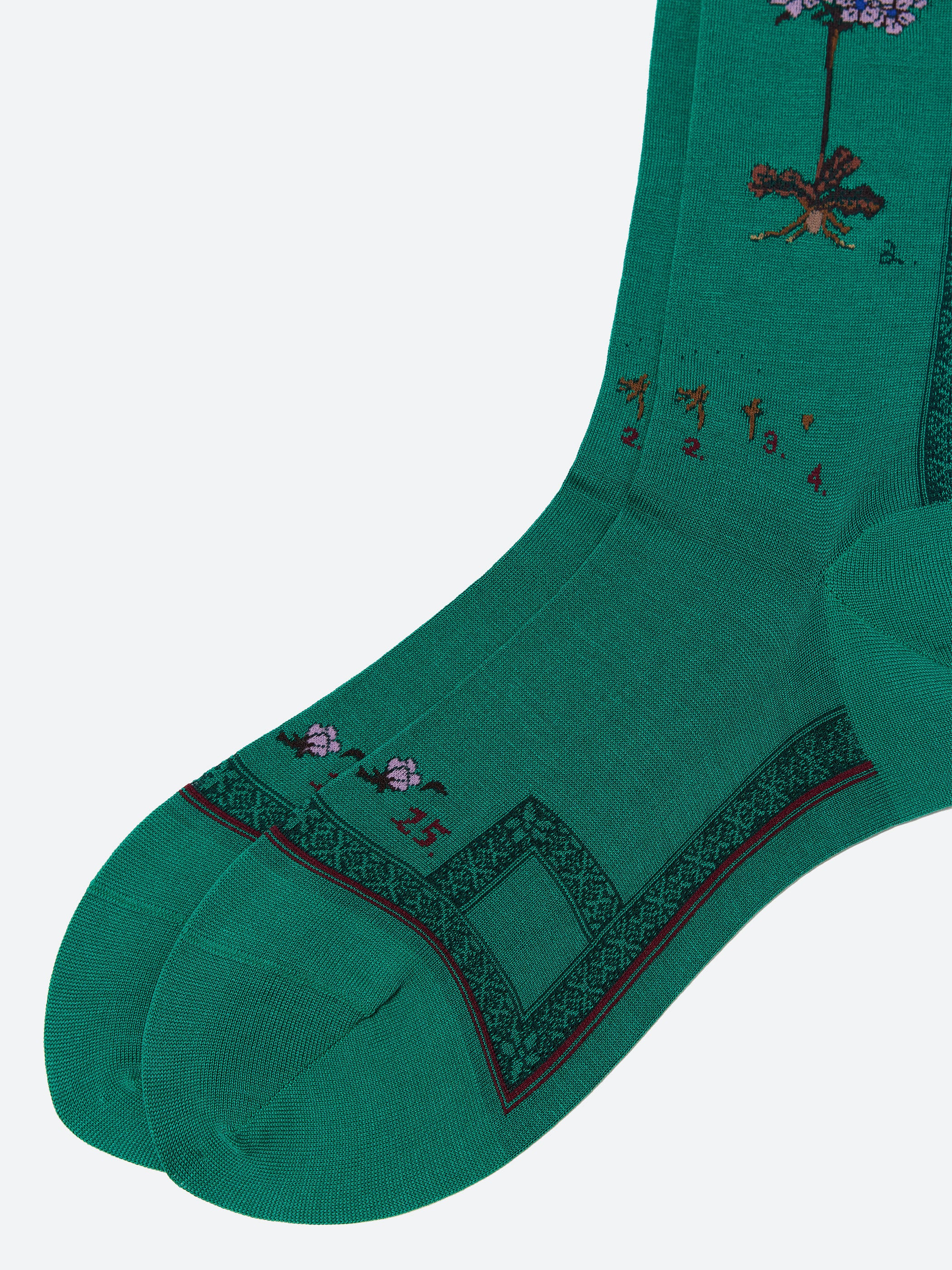 Botanical XVI Socks