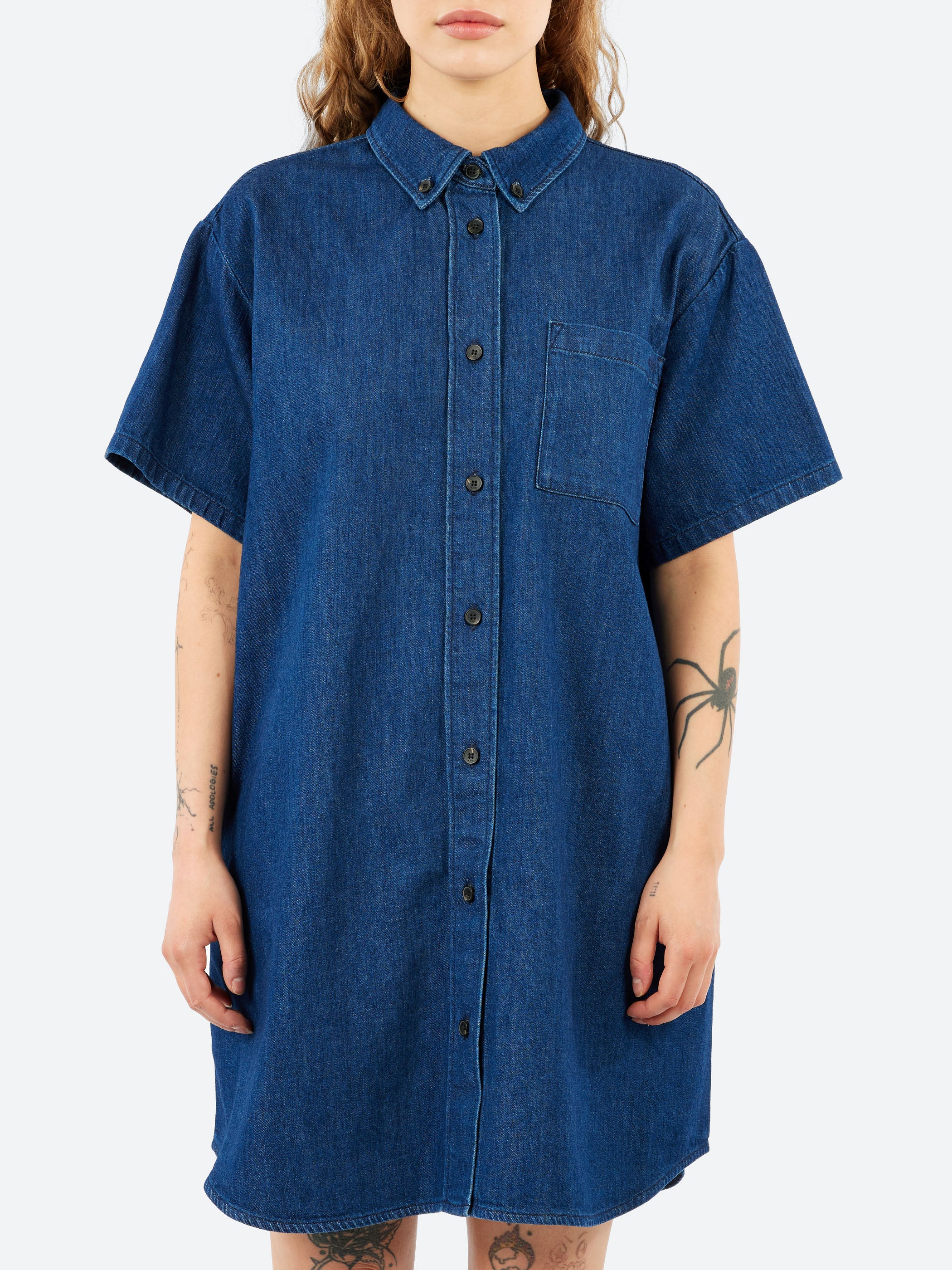 Ary Denim Dress
