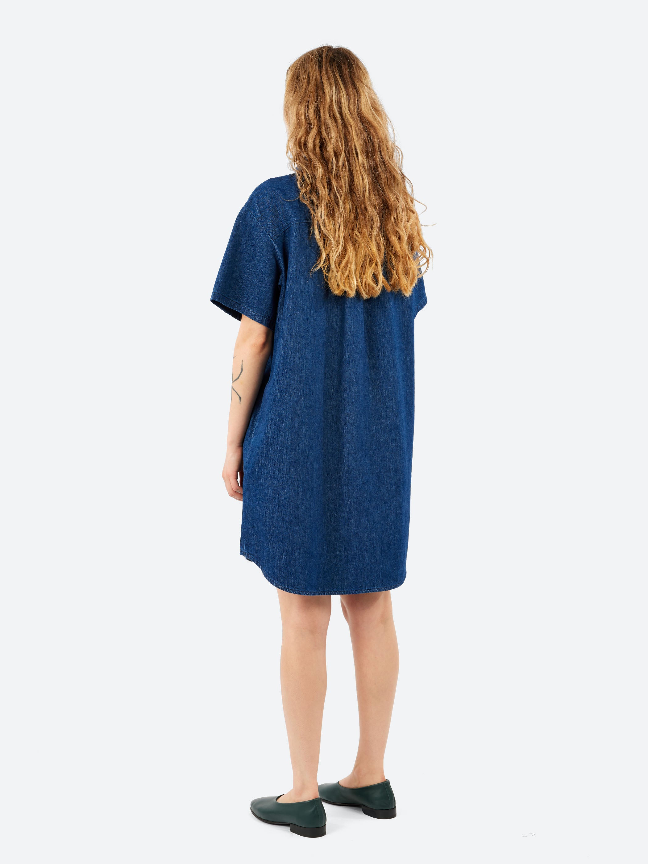Ary Denim Dress