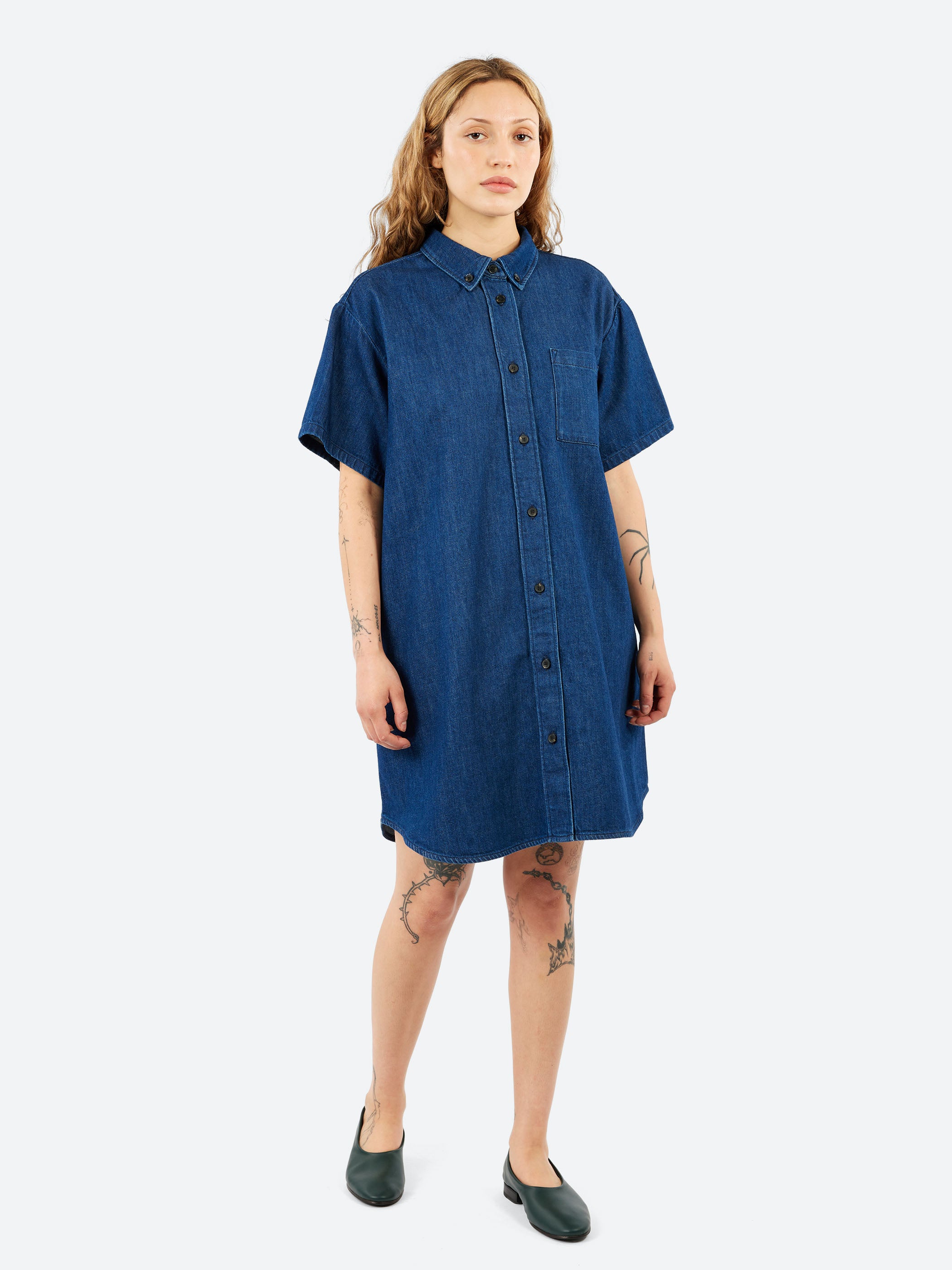Ary Denim Dress