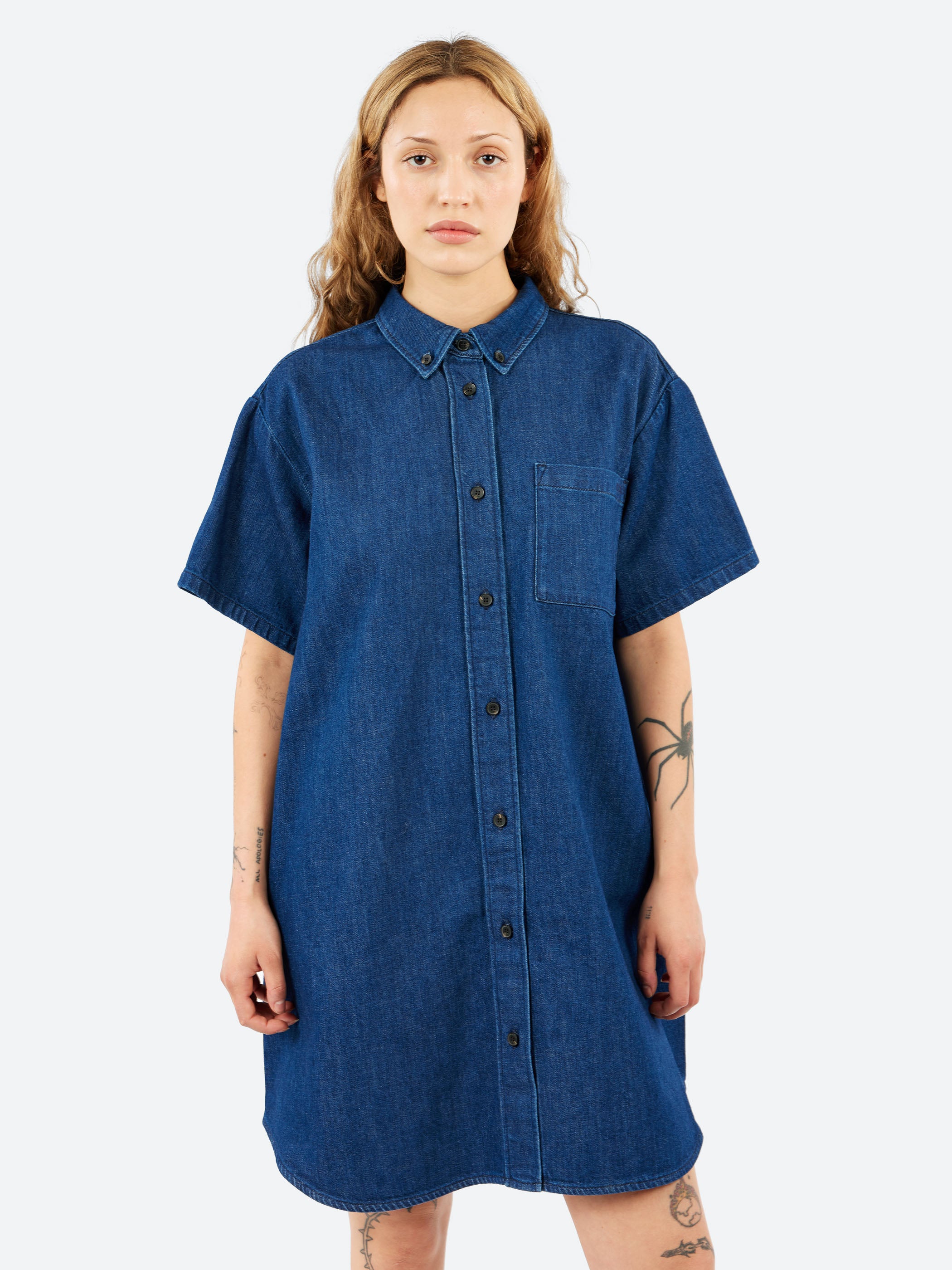 Ary Denim Dress
