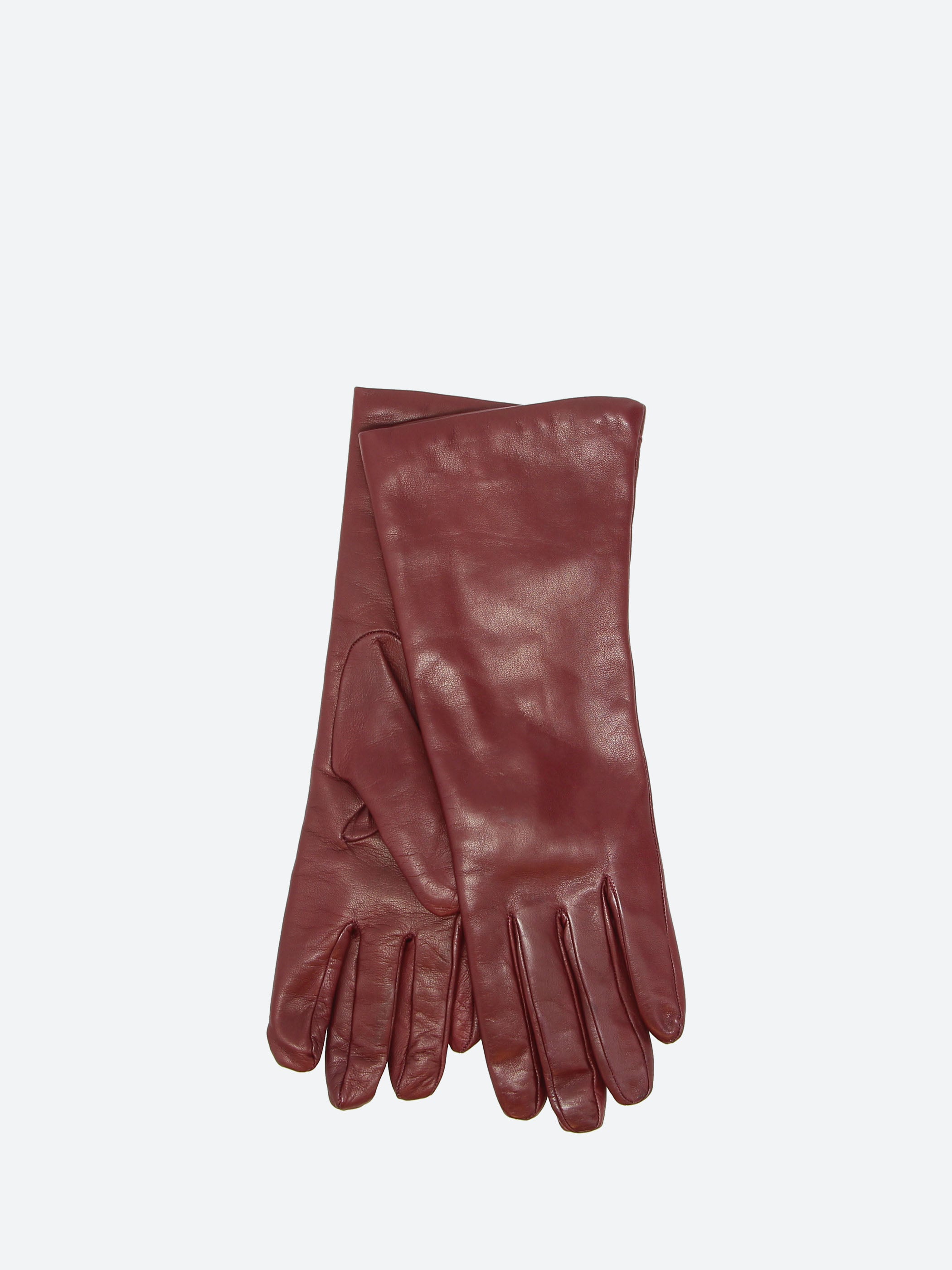 Bianca Long Glove