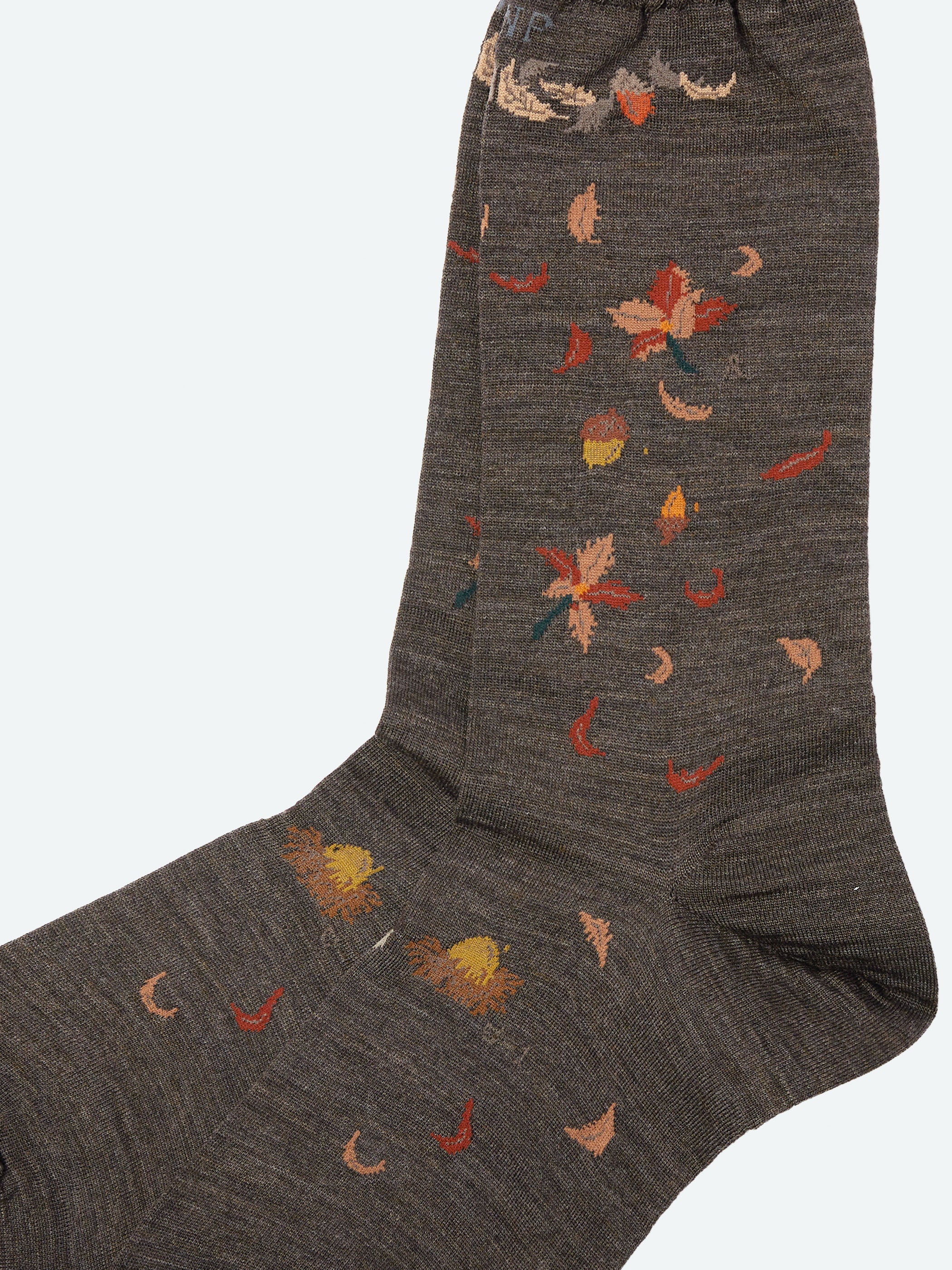 Wind and Acorn Tree Sock