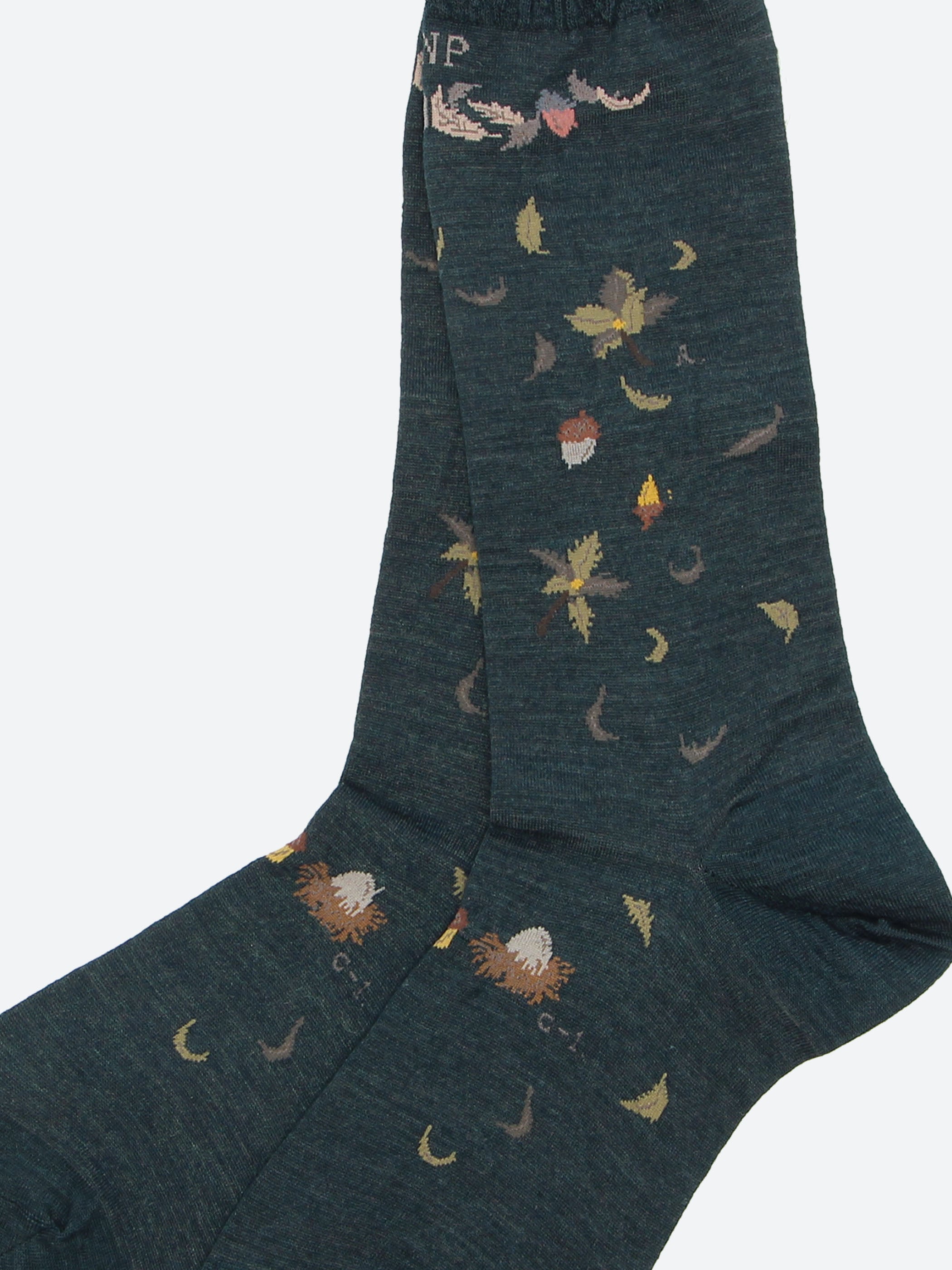 Wind and Acorn Tree Sock