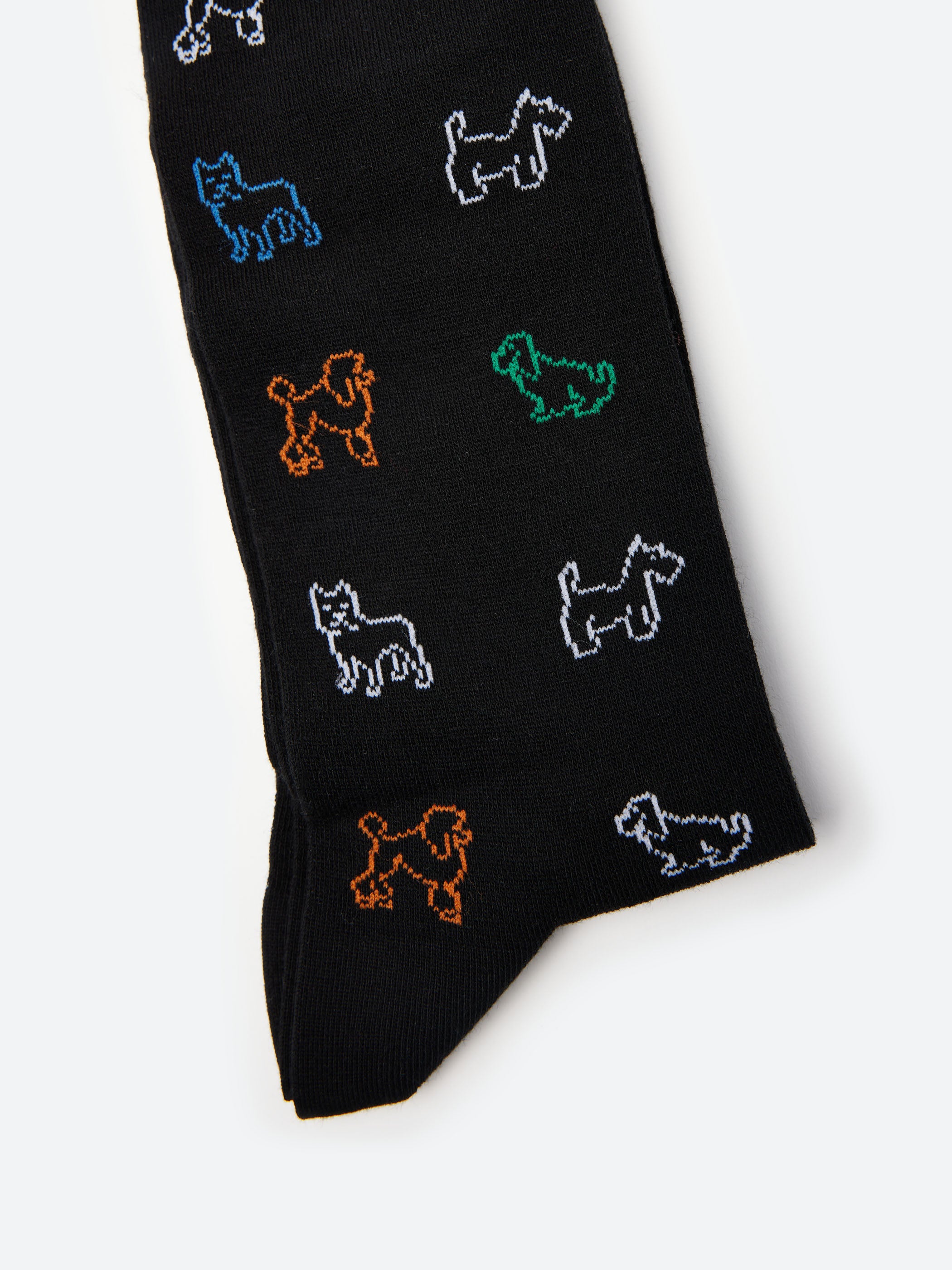 Dogs Pattern Socks