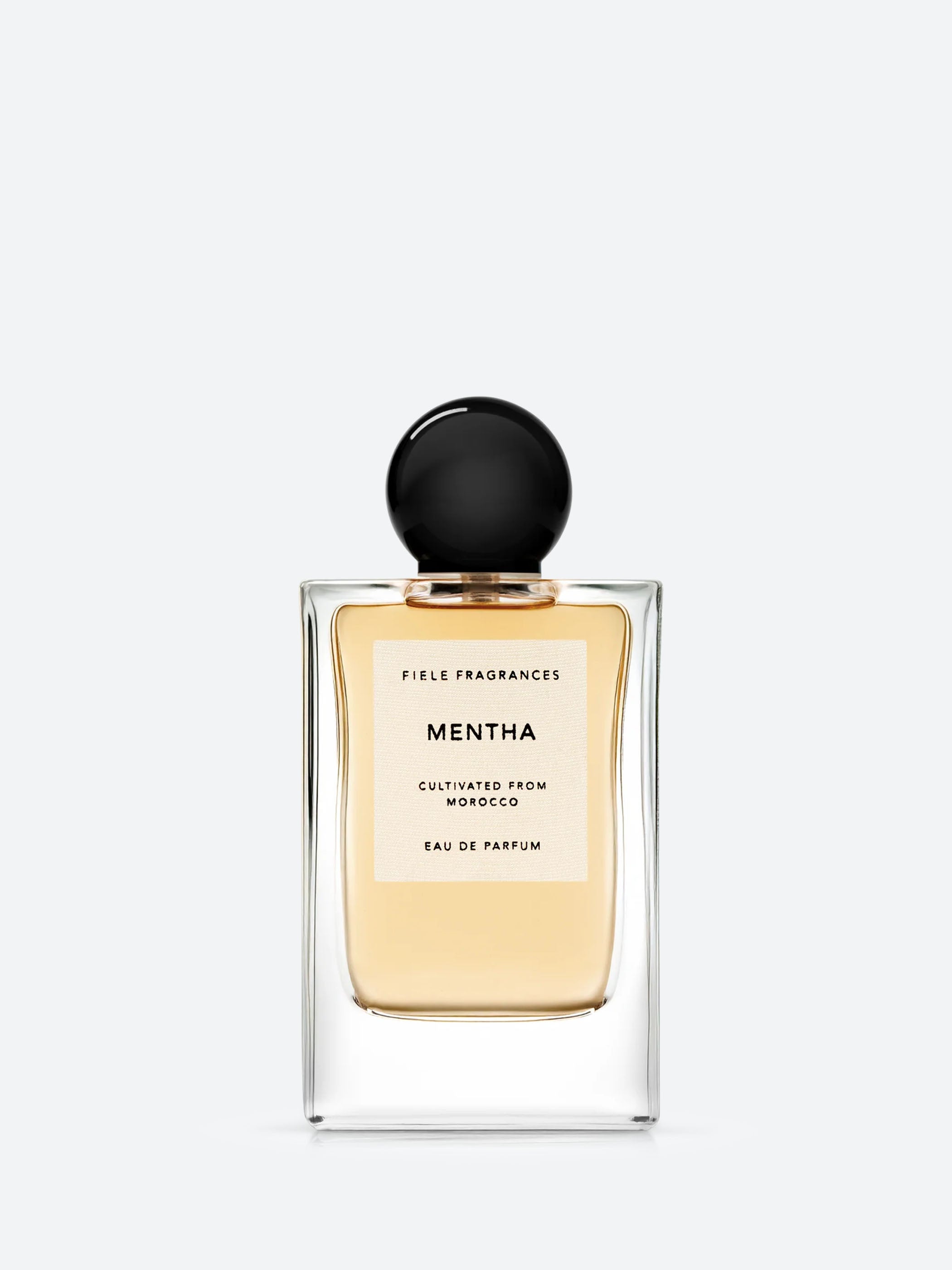 Mentha