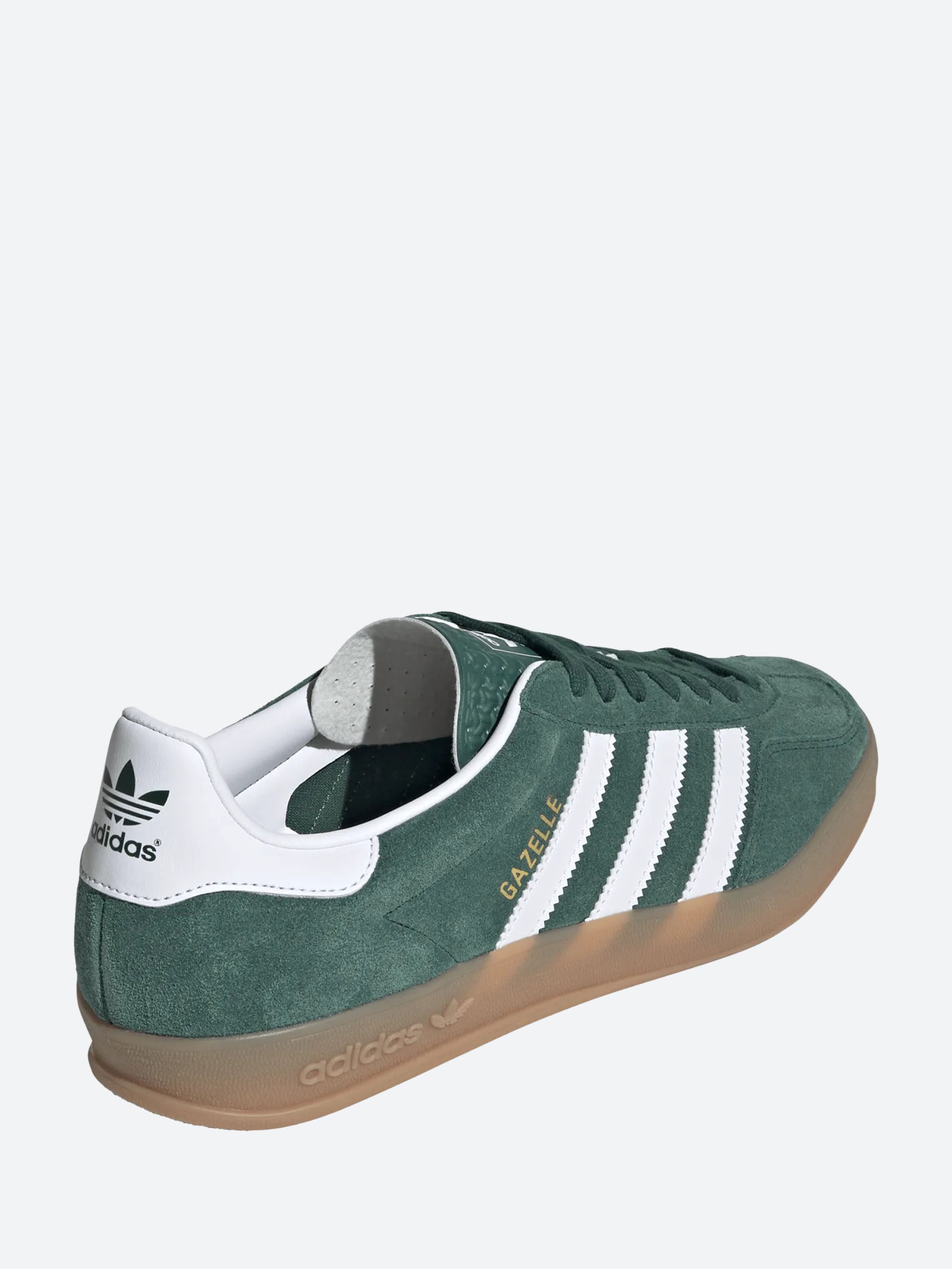 Gazelle Indoor