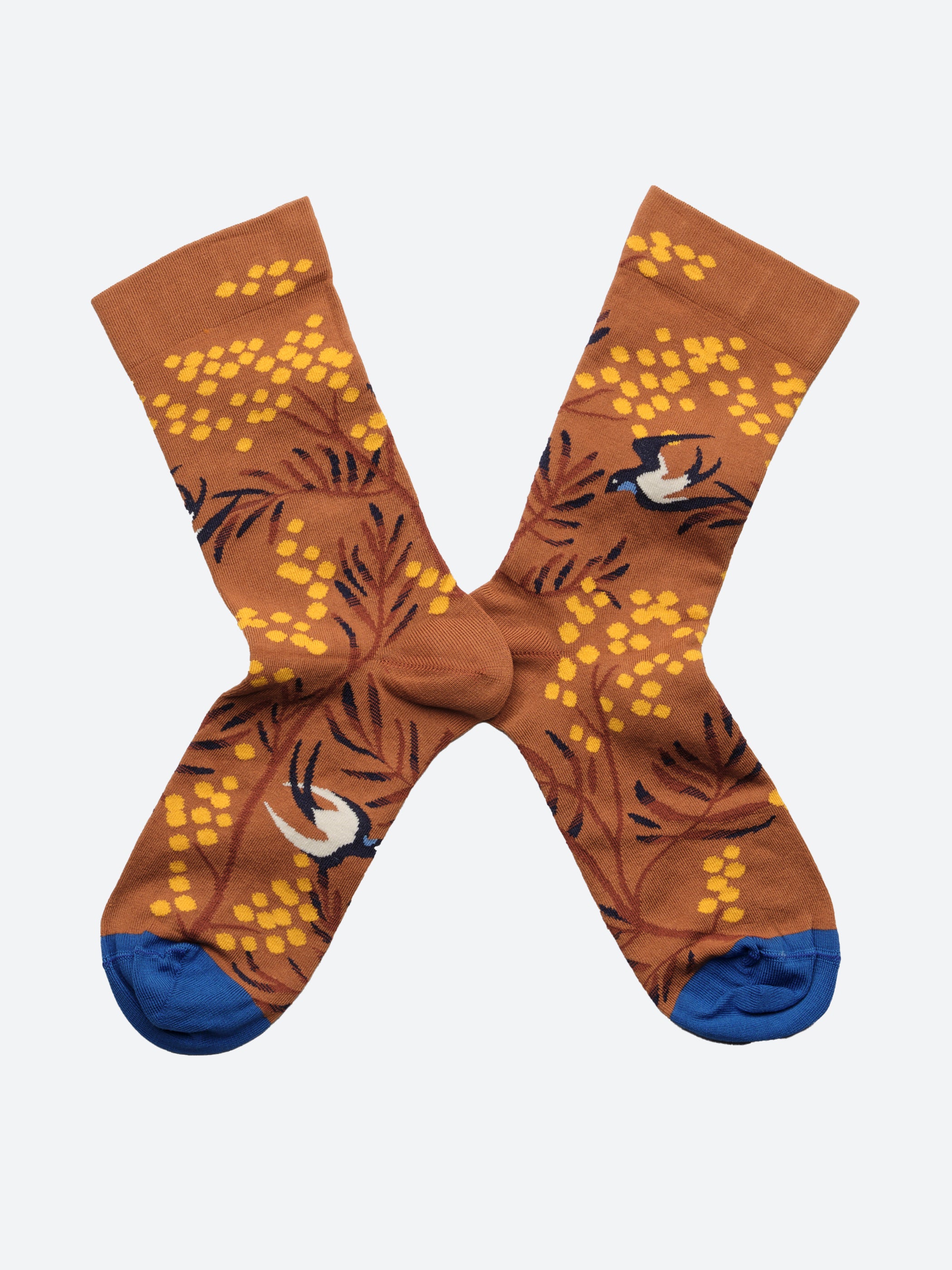 Caramel Mimosa Sock