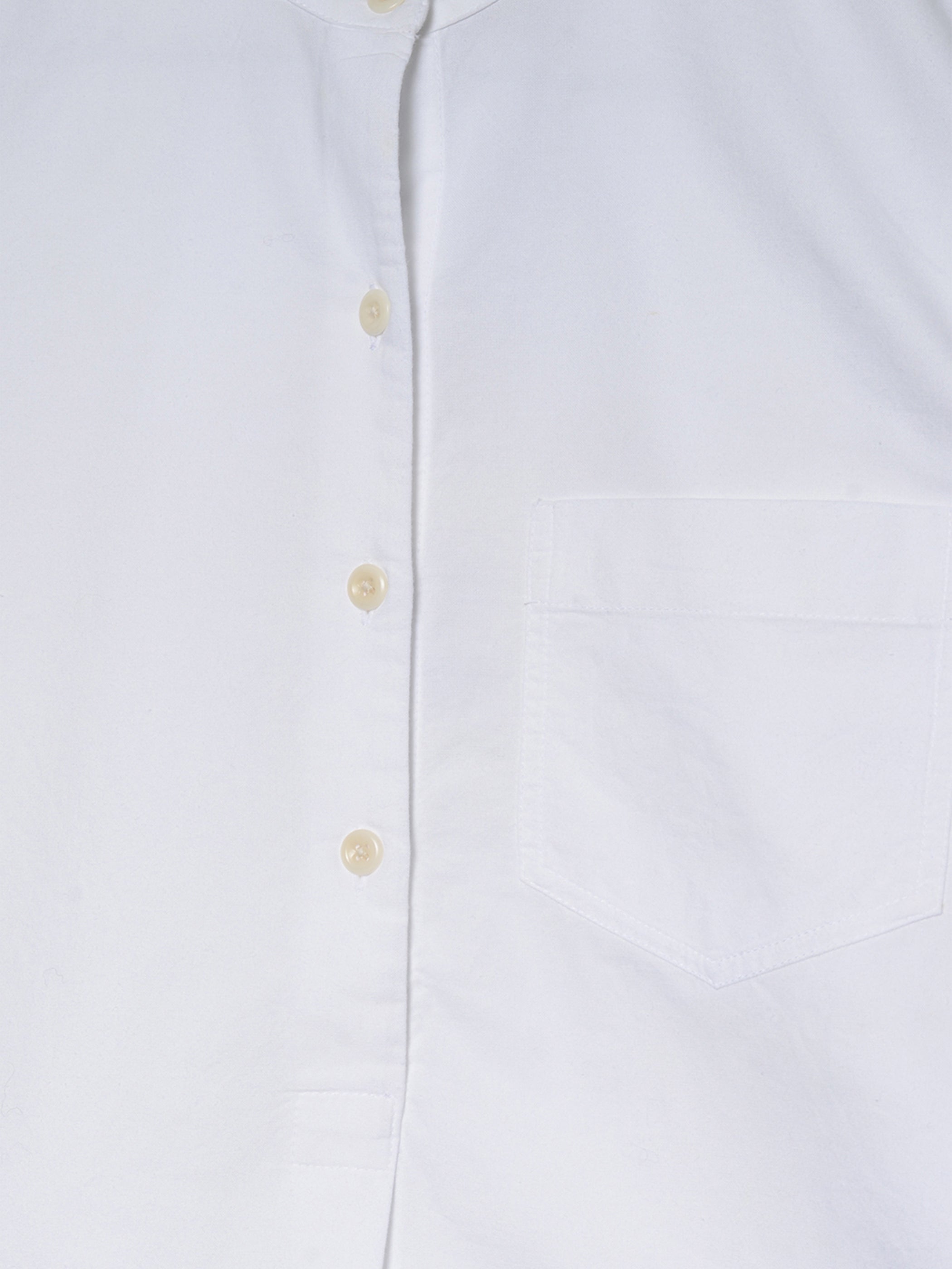 Taro Cotton Oxford