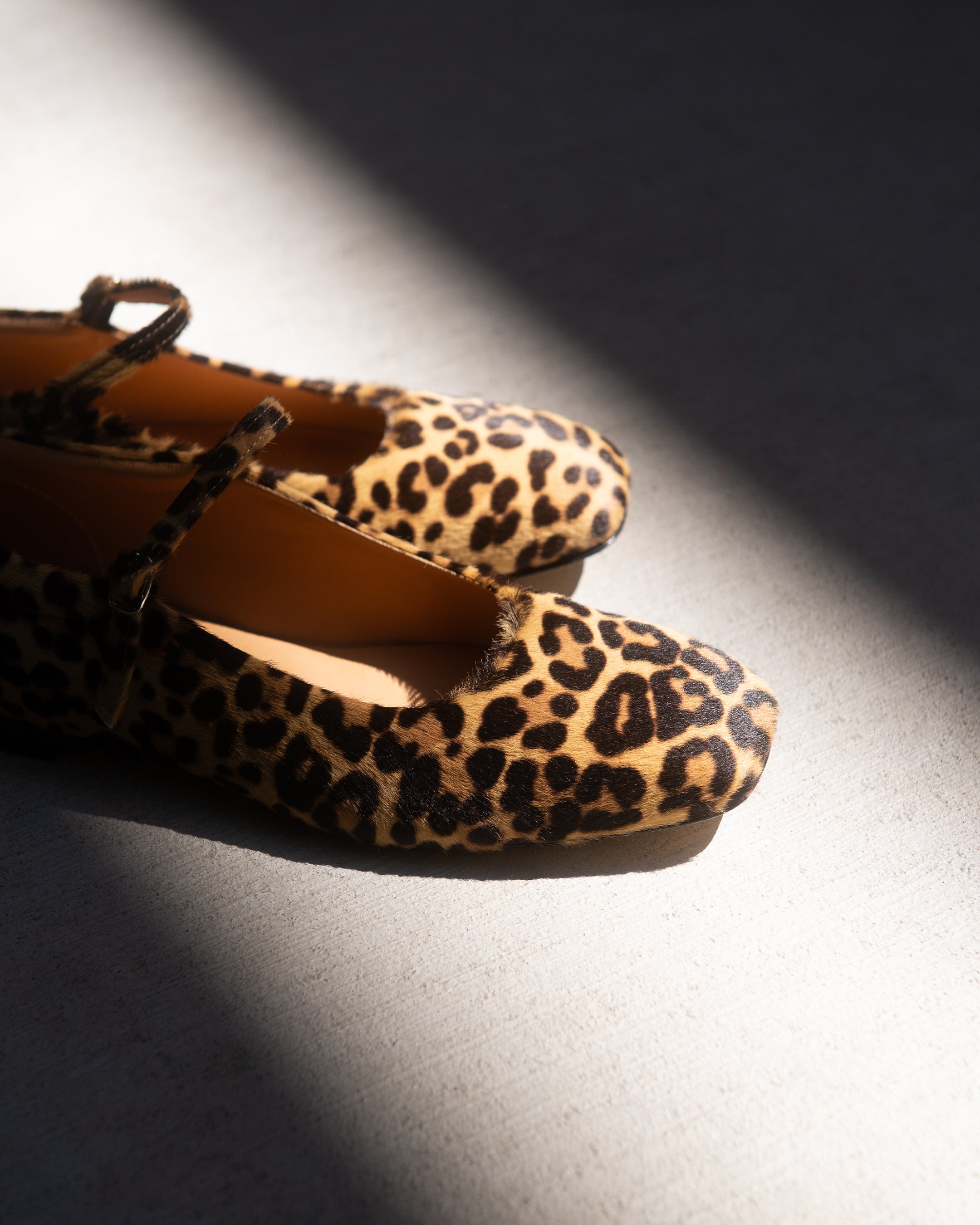 gravitypope Collection